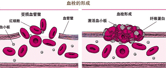 图片8.png